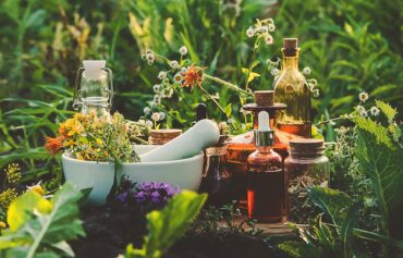 LIVING PLANT ORGANIC MEDICINE