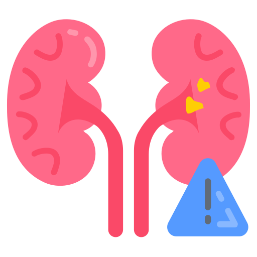 94_organ_failure_kidney_failure_kidney_disease_renal_disease_kidney_damage_nephropathy-512